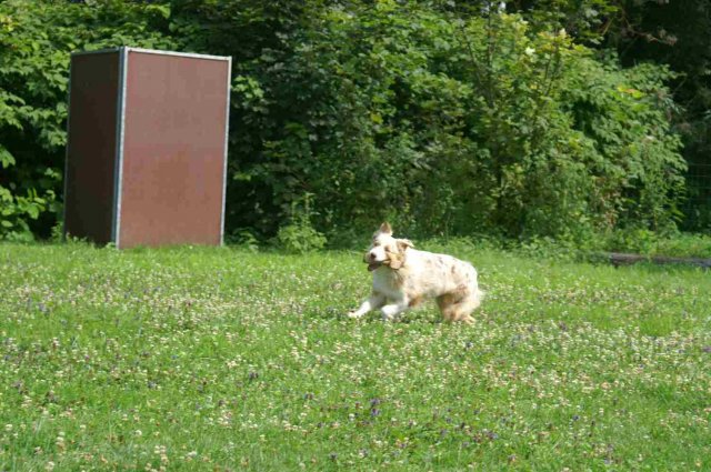 obeissance 2014-08-02